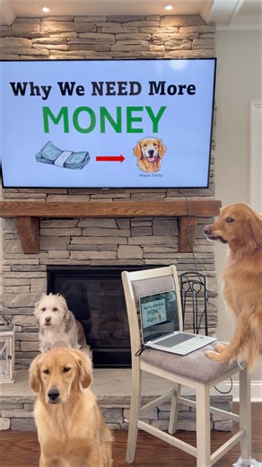 The WORST Teddy PowerPoint presentation yet! | Aguyandagolden