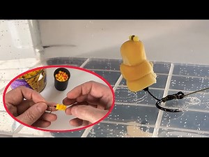 7 Fishing Secrets No One Tells You🎣