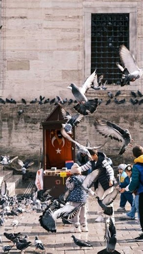 Spy x Family Manga Scenes