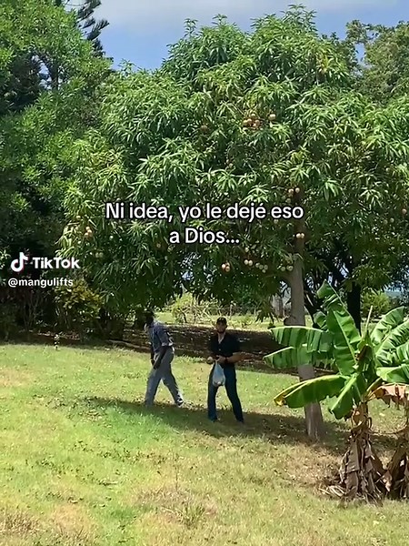 Éxodo 14:14#cristoteama❤️🙏🏻 | exodo