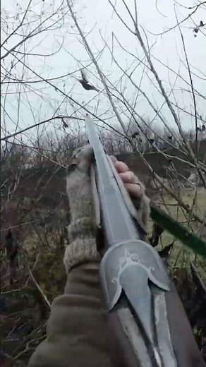 Pheasant Hunting with Dachshund Hubi