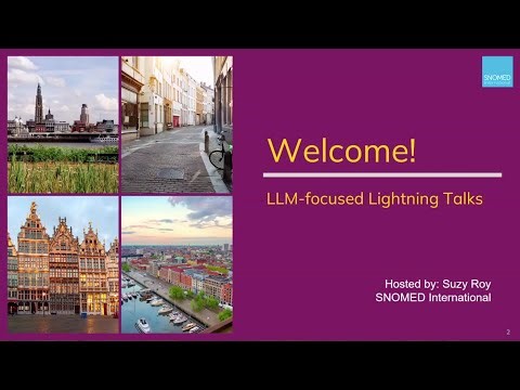 LLM-focused Lightning Talks: 202524 Park, 202596 Riedel, 202534 Baldini & 202532 van Mens