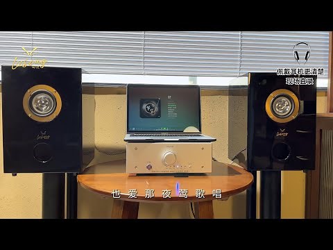 Lii Song Echo Al-4 Full Range Speakers Introduction & Sound demo