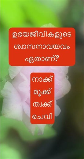 Episode 45: General knowledge / pse questions 2025 / pse questions / school / education / pse exam