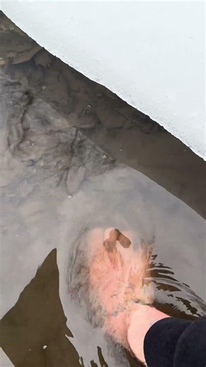 Yoink! #funny #lol #wtf