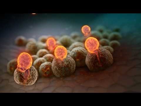 DENDREON PROVENGE Mechanism of Action