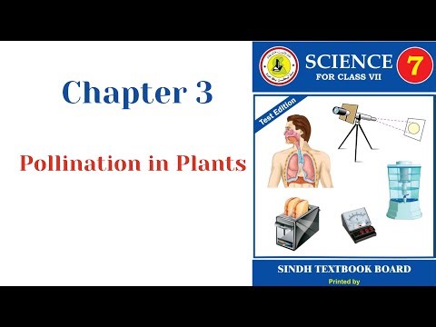 Pollination: How Plants Reproduce and Sustain Life In Urdu/Hindi