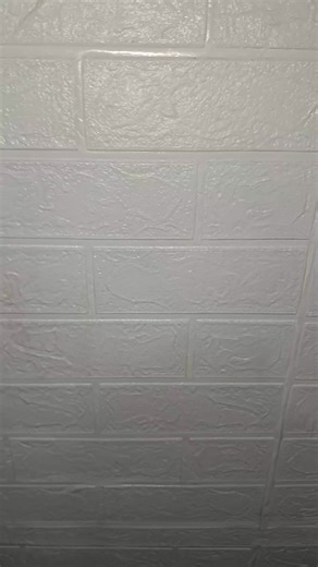 Gerr Moments in Durres - Flower Fun!