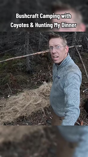Bushcraft Camping with Coyotes & Hunting My Dinner #camping #Outdoors #cooking #outdoorcooking #outdoor #camp #cook #bushcraft #survive #survivalskill #survival #alaska