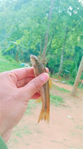 Caught an Epic Rare River Fish 🎣🐟 | Lucky Catch in Wild Riverside