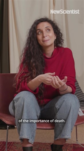 Funerales de Neandertales: ¿Una Ceremonia Perdida?