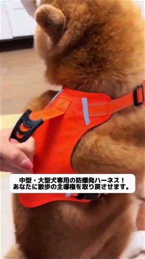 軽量引っ張り防止ハーネス、小型・中型犬のお散歩に最適 #ペットハーネス #お散歩グッズ# 首に負担なし#小型中型犬グッズ#ペットお出かけリード