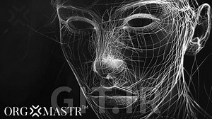 Competency Development in Organizations