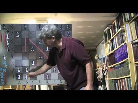 Chess Videos by Kerry Shirts (aka "The Backyard Professor") Video #1
