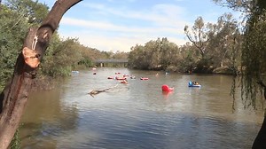 Inland waterways are the leading location for drowning, with 1,113 losing their lives in Australian rivers, creeks, and streams over the past 15 years. We’ve been hitting the road and visiting some of Australia’s most popular rivers to understand the public’s attitudes and behaviours in an effort to find answers to the nation’s river drowning problem. #RespectTheRiver with support from Australian Department of Health | Royal Life Saving Society - Australia