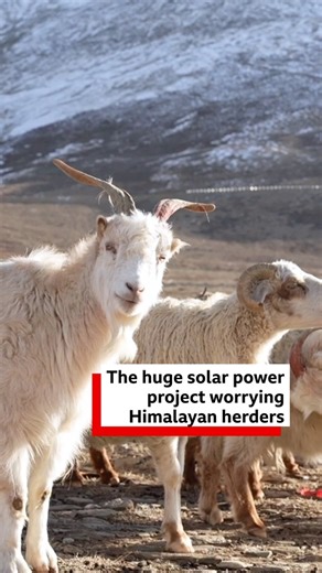 In the mountainous Ladakh region, India, there are plans to build one of the world’s largest solar parks. It could power millions of homes, but herders are concerned about their land and livelihoods. 🎧 Can we harness solar energy from other stars? https://bbc.in/4a9a6HX | BBC World Service
