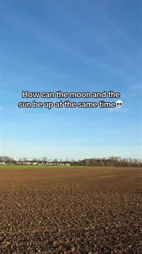 David (@davidmaluco_)’s video of The Sun And The Moon