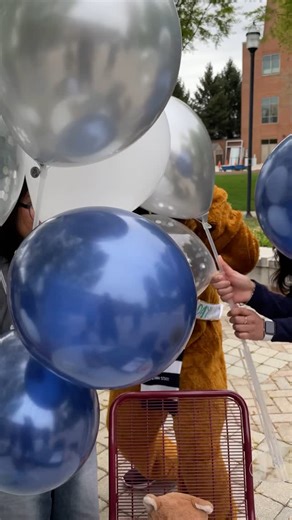 From unforgettable traditions to milestone moments - looking back on a great spring semester! 📸✨ #pshbg | Penn State Harrisburg