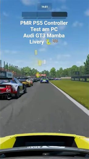 Ojojoj! 🫣 PS5 Controller-Check am PC | Project Motor Racing🏎🏁