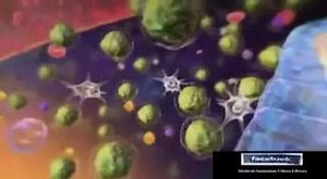 1.8K views · 161 reactions | Acute lymphatic leukemia animation #lab #heamatology #anmar | علم التحليلات المرضية | Facebook