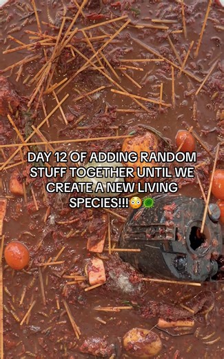 Creating a New Living Species: Day 12 Experiment