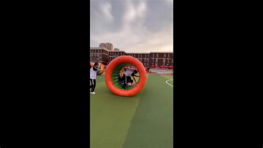 The Insistent Roller Team