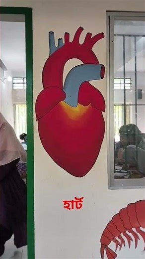 HEART ANIMATION !! #heart​ #anatomy​ #animation​ #bloodcirculation​ #cardiology​ #shorts​