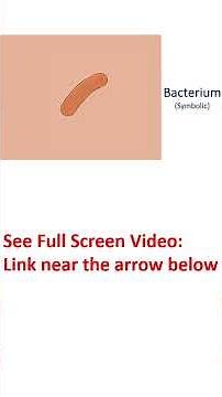 What is pericardial effusion?