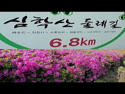 A Detailed Guide to the 6.8KM Simhaksan Dulle-gil Trail. Places to Visit Near Seoul for Hiking/Pa...