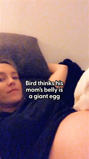 1.3M views · 10K reactions | They do everything together now! ❤️ Watch the moment this cockatoo and little boy become best friends! Keep up with Grietje, Marni, and Rémi on Instagram: thedo.do/marnithecockatoo. Keep up with Grietje, Marni, and Rémi on Instagram: thedo.do/marnithecockatoo. | The Dodo | Facebook