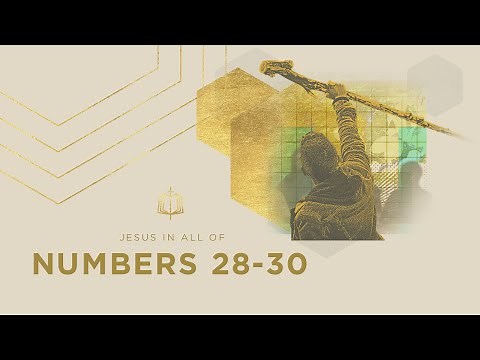 Numbers 28-30 | Holy Time | Bible Study