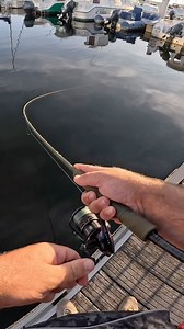 29K views · 771 reactions | Quand tu lances ton leurre et que c’est déjà pendu  ➡️ Code promo AMINIAKK sur Leurre de la pêche :  https://bit.ly/3Q6OT7e Canne : SG4 médium Game Moulinet : Spike 2000 Leurre : Gulp némésis #peche #fishing #pecheur #fisherman #pecheauleurre #pechemoderne #touche #perche #bateau #lake | Aminiakk Fishing | Facebook