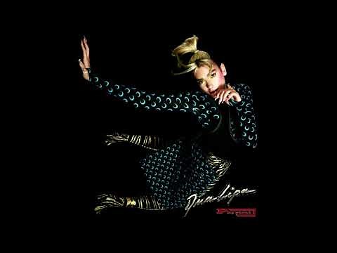 Dua Lipa – Physical (Official Studio Acapella & Hidden Vocals/Instrumentals) (174 Stems)