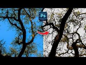 Remove Complex BG using #Photoshop