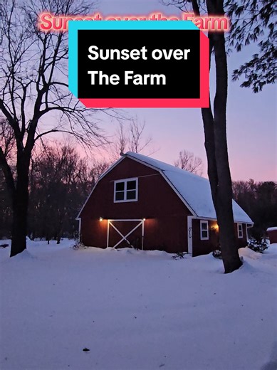 Sunset over the Farm lights up the Forest and Garden #sunset #farm #barn #garden #koipond
