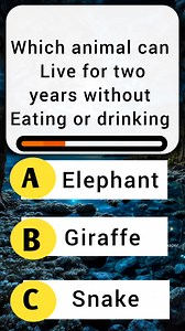General Knowledge Quiz: Test Your IQ with These Questions 🧠 #generalknowledgequiz #generalknowledgequestions #generalknowledge #generalknowledgetest general knowledge quiz general knowledge,general knowledge questions,general knowledge trivia,general knowledge quiz with answers,general knowledge quiz multiple choice,trivia quiz general knowledge,questions with answers,general knowledge 2026,general knowledge videos,general knowledge test,general knowledge trivia quiz,general knowledge game,pub