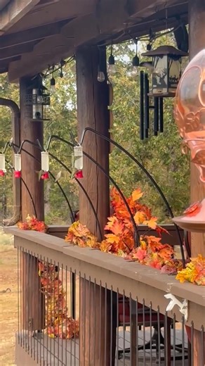 5.9K views · 15 reactions | Hummingbird-News on Reels | Facebook