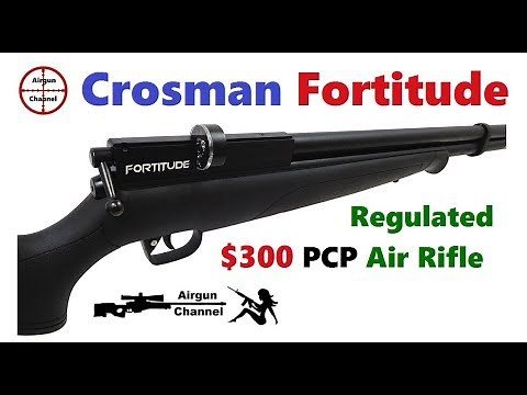 Benjamin FORTITUDE Review #1 (and 2018 Award) "Regulated" PCP Rifle ???