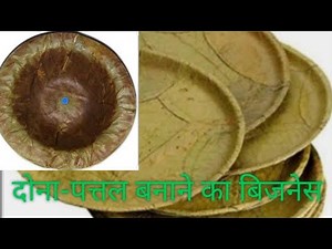 (232)Areca Leaf Plate Making Business/ प्राकृतिक दोना पत्तल बनाने का बिजनेस।#MSMB