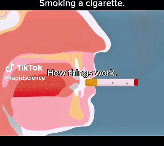 Understanding How the Universe Works: A Deep Dive