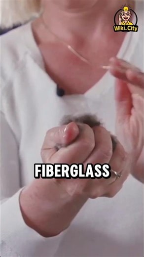 🪶✨ Eiderdown: Nature’s Softest Treasure