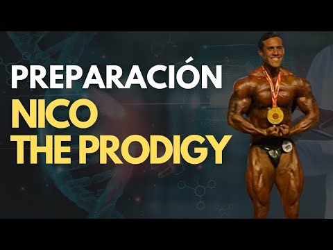 Bodybuilder preparation - Nico the prodigy
