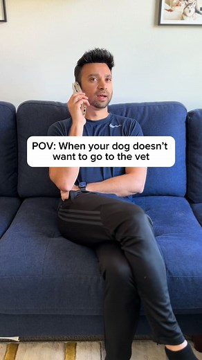 POV: when your dog doesn’t want to go to the vet 😂😂😂 #dogs #dogsoftiktok #doglover #funnydog #fyp