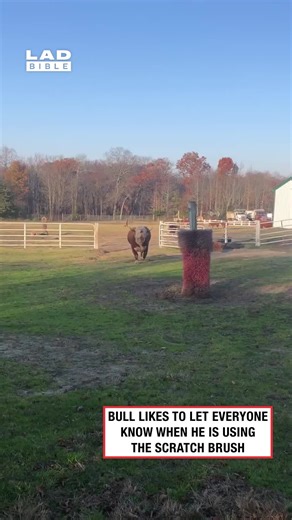 Funny Behind the Scenes Moments to Make You Laugh