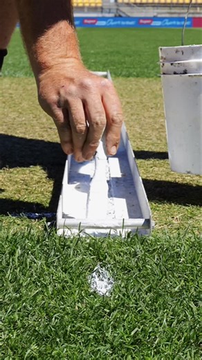 37K views · 2.5K reactions | Pitch perfect  All set for tomorrows ODI with @blackcapsnz  | Sky Stadium | Facebook