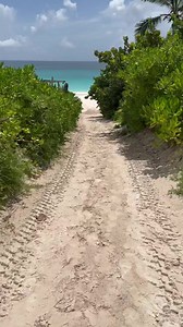 Vincent Niclo - A la decouverte dune nouvelle ile aux...