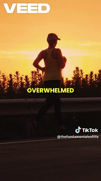 The Fundamentals of a Successful Life: New Ebook Launch