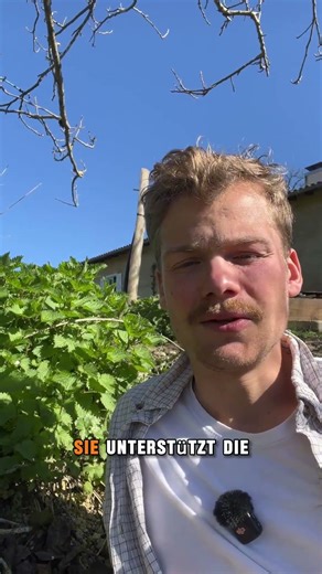 Entgefiten mit der Brennnessel