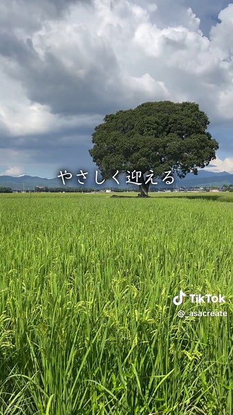 思わず「ただいま」と言ってしまう自然の風景 #田舎あるある #懐かしい #朝倉市