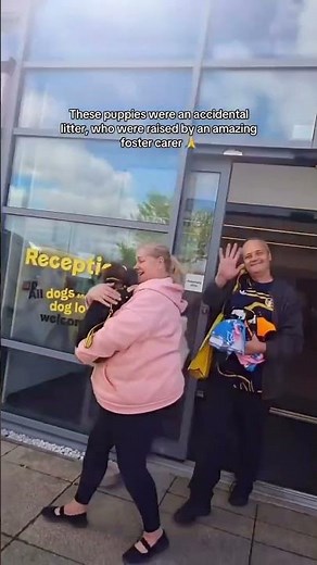 Adoption Day! | Dogs Trust